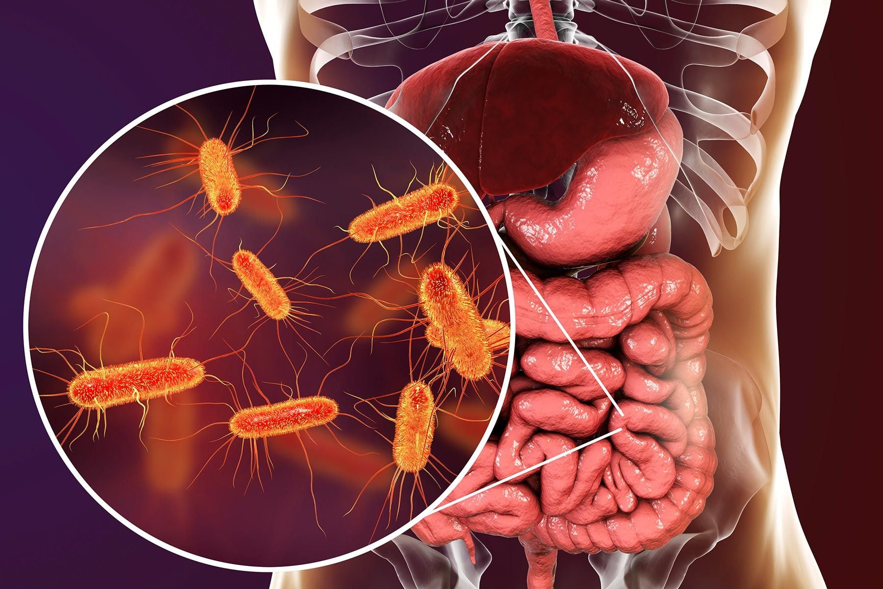 Unhealthy Gut: 5 Dangerous Habits That Can Damage Your Stomach Completely